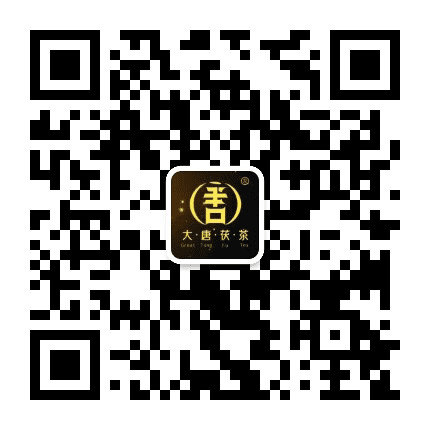 大唐金花公众号二维码