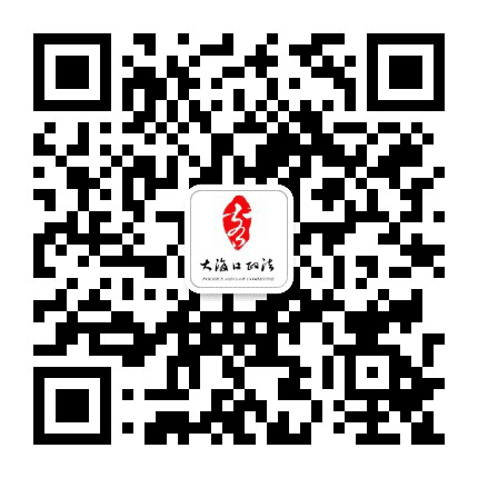 大渡口政法公众号二维码