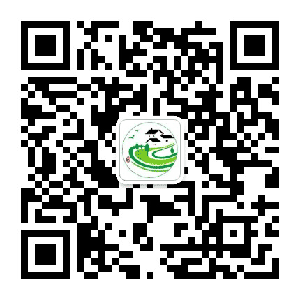 大丰美丽乡村公众号二维码