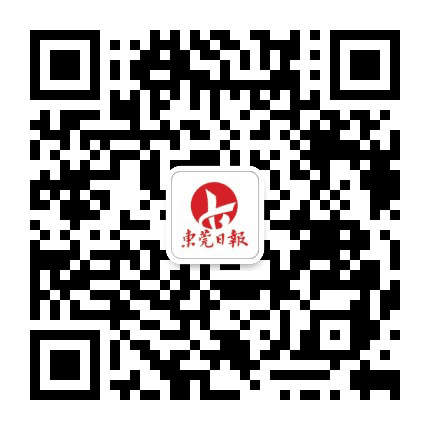 东莞日报公众号二维码