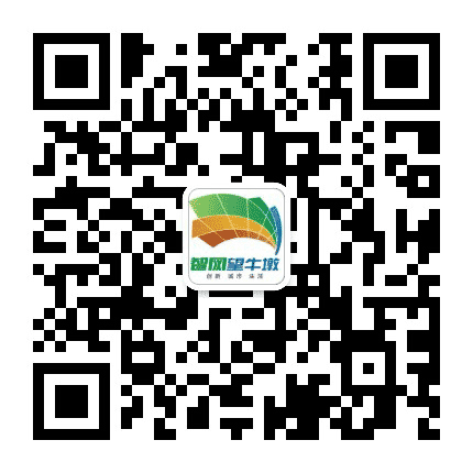 智网望牛墩公众号二维码