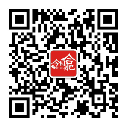 今日合肥公众号二维码