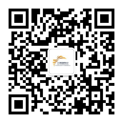 大理国际影会公众号二维码