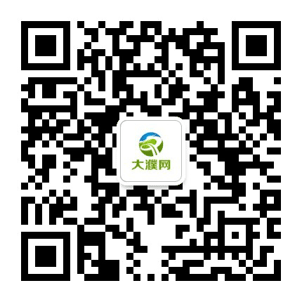 大濮网台前站公众号二维码