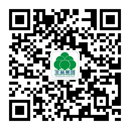 丰林集团公众号二维码