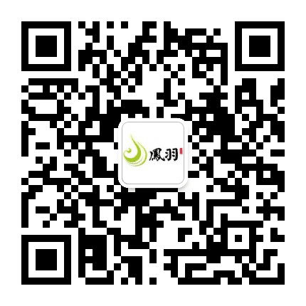 凤羽茶公众号二维码