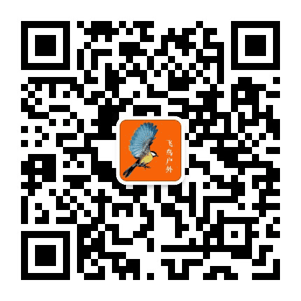 飞鸟户外旅行摄影公众号二维码