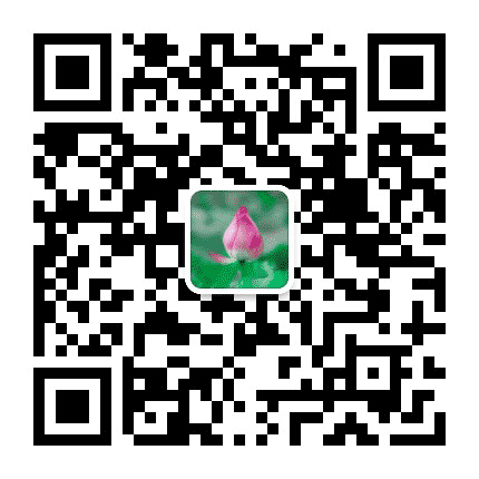 每天修福报公众号二维码