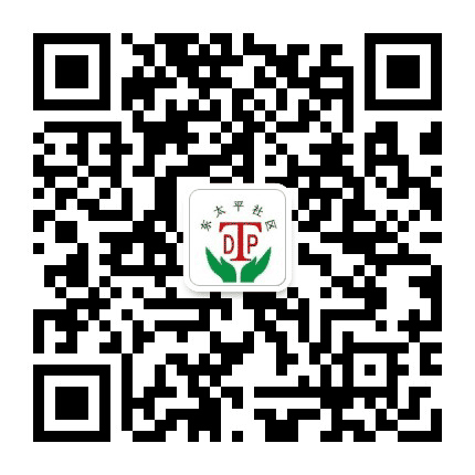 东太平社区公众号二维码