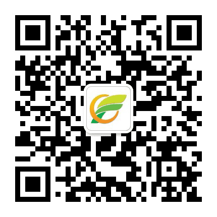 上海市奉贤区奉城幼儿园公众号二维码