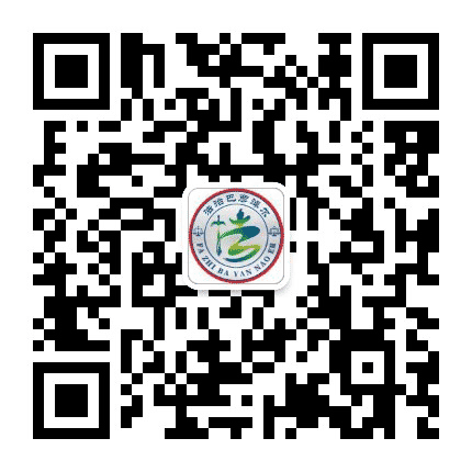 法治巴彦淖尔公众号二维码