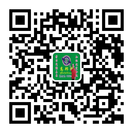 高邦德教育辅导公众号二维码