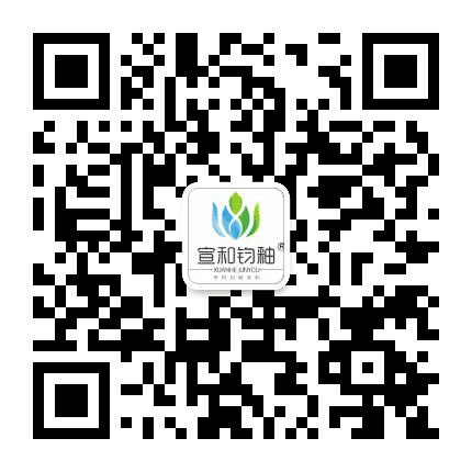 广东宣和公众号二维码