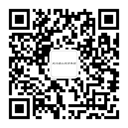武汉庙山投资集团公众号二维码