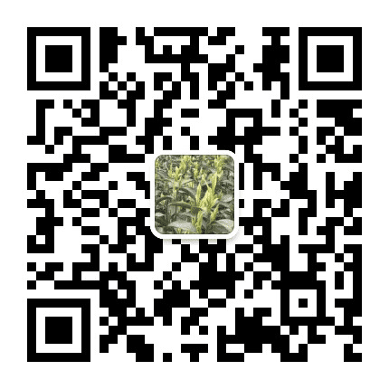 云雾鼎白茶公众号二维码