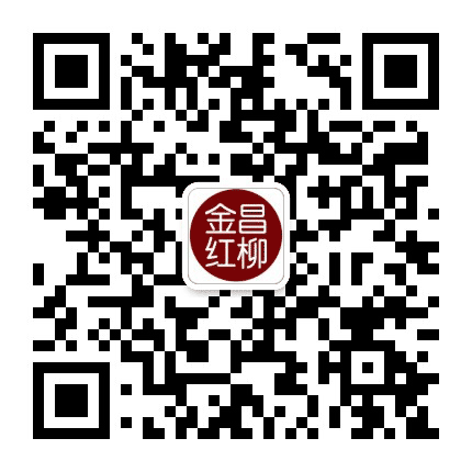金昌红柳公众号二维码