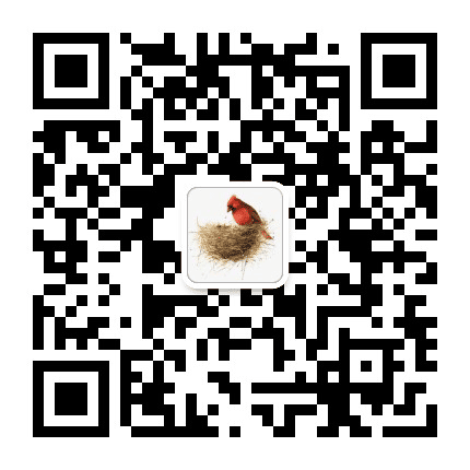 小雅归巢公众号二维码