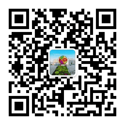 武鸣政务公众号二维码