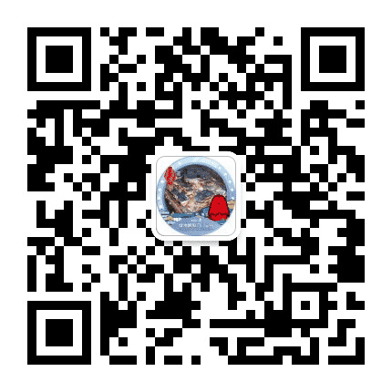 义乌朝阳门 Rosy Gate公众号二维码