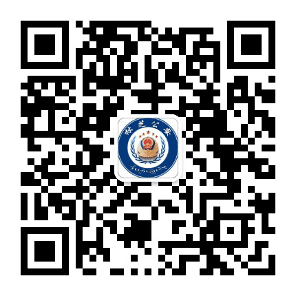 平安林芝公众号二维码
