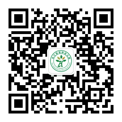 北江智慧树幼儿园公众号二维码