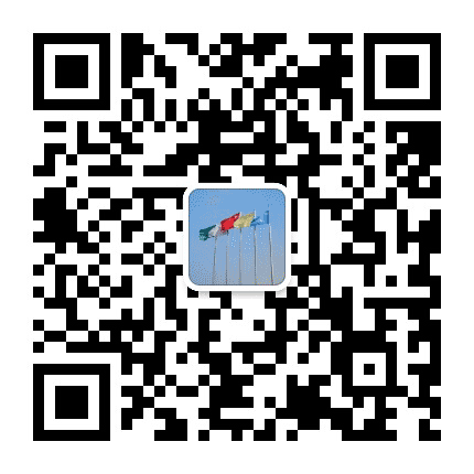 安科先锋号公众号二维码
