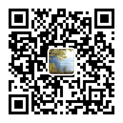 金凤资讯公众号二维码
