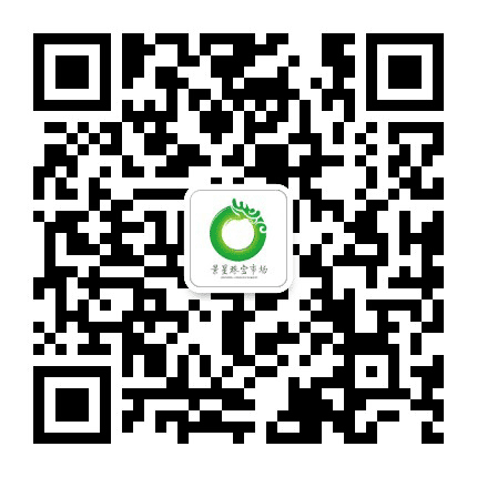 昆明老街景星珠宝市场公众号二维码