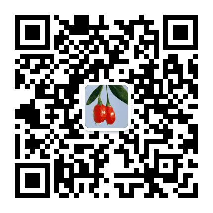 宁夏中宁枸杞院士工作站公众号二维码