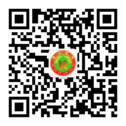 龙华政务公众号二维码