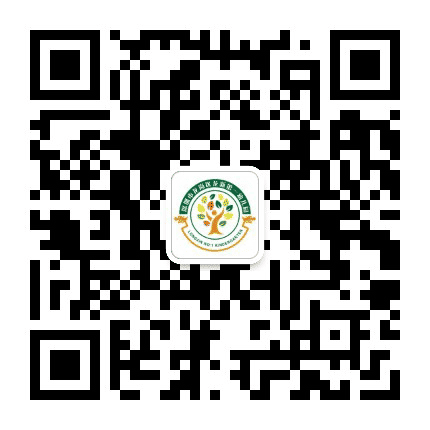 深圳市龙新第一幼儿园公众号二维码