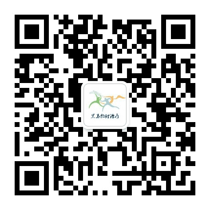 黑马物理治疗公众号二维码