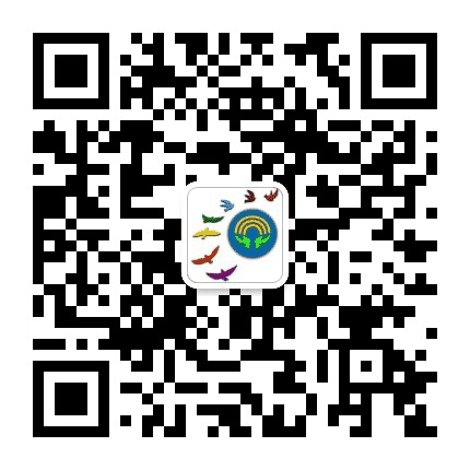合肥市虹桥小学公众号二维码