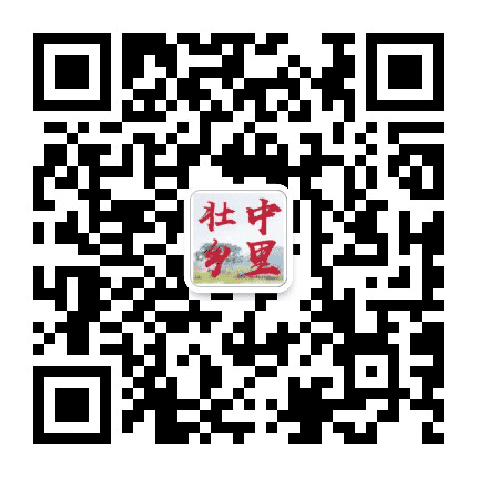 壮乡中里公众号二维码
