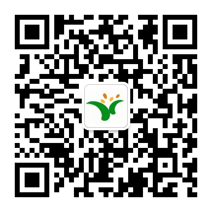 大沥镇黄岐小学公众号二维码