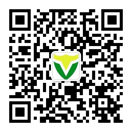 金鹰保安公众号二维码