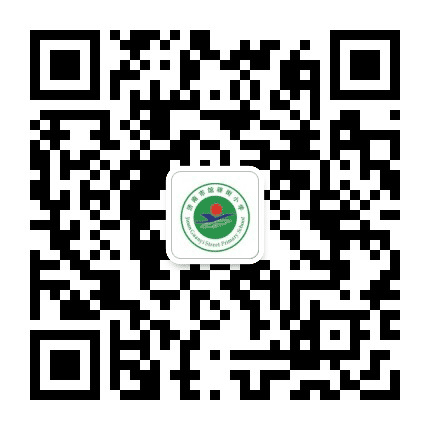 济南市馆驿街小学公众号二维码