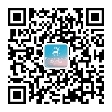滨州森林花语公众号二维码