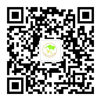湖州市仁皇山幼儿园公众号二维码