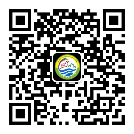 云州一中公众号二维码