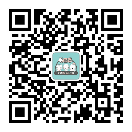 毛巴巴宠物公众号二维码