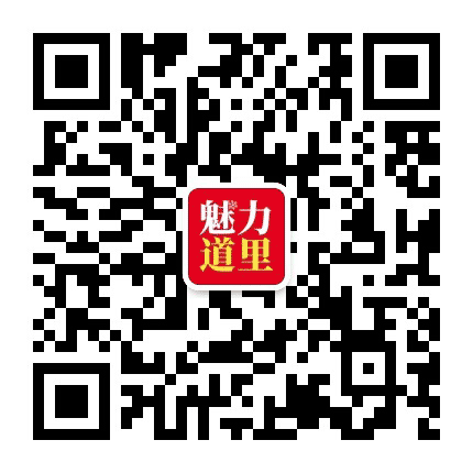 魅力道里公众号二维码