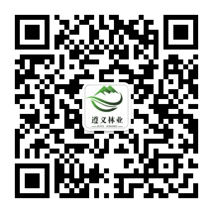 遵义林投公司公众号二维码