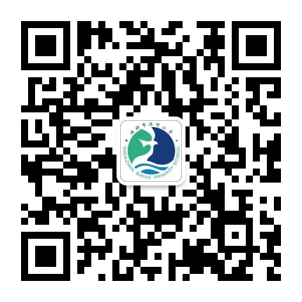深圳市滨河小学公众号二维码