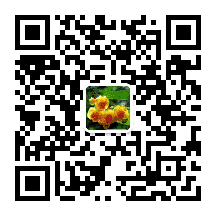 桂风起防城公众号二维码