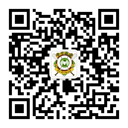 甲子棒球公众号二维码