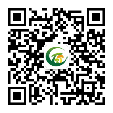龙湖蘑菇公众号二维码