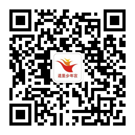 道里少年宫活动中心公众号二维码