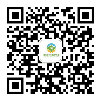 龙虎平台公众号二维码