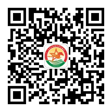 马湾文旅集团公众号二维码